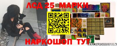 твердый Гатчина