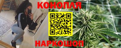 твердый Гатчина