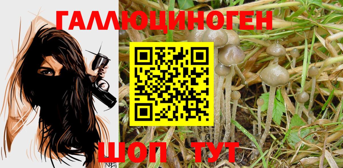 Псилоцибиновые грибы MAGIC MUSHROOMS  наркотики  Вход с VPN  Якутск  Псилоцибиновые грибы Psilocybine cubensis 