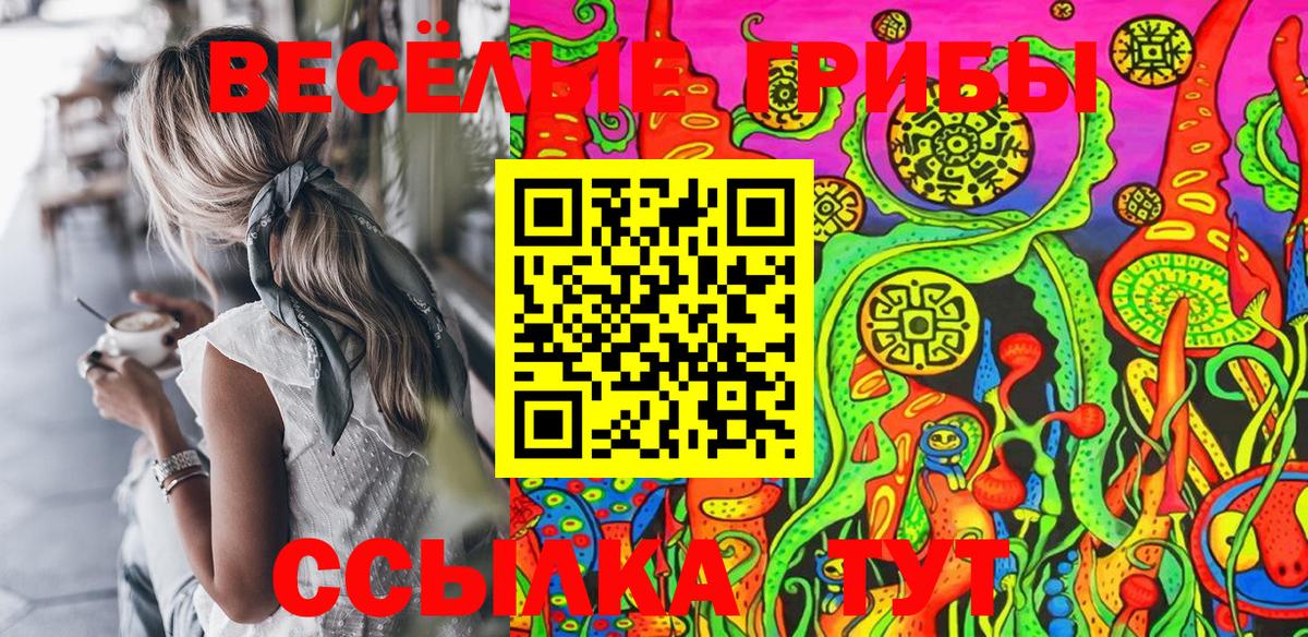 Псилоцибиновые грибы Cubensis Якутск